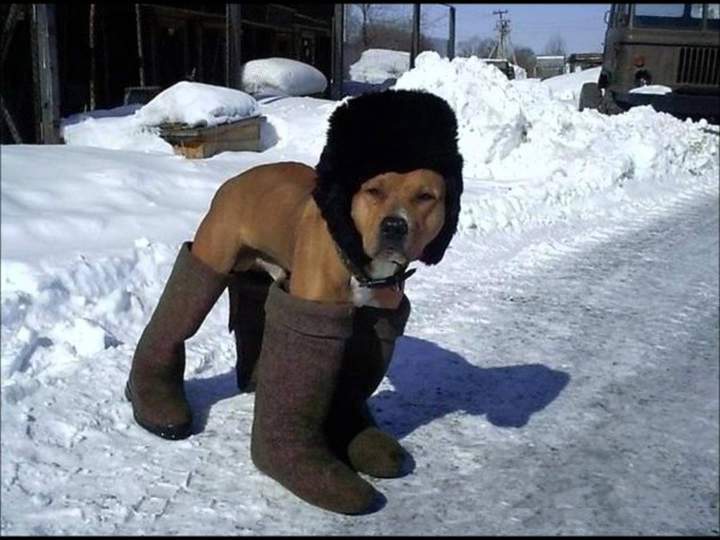 Хорошо, тепло, только ногу не поднять!