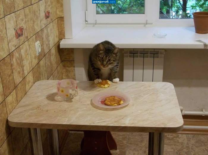 А компот??