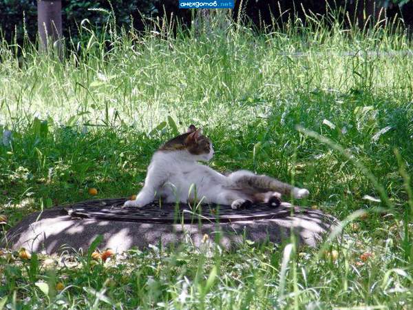 Командир подземного танка