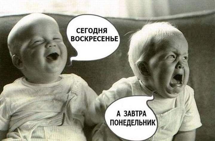оптимист и пессимист