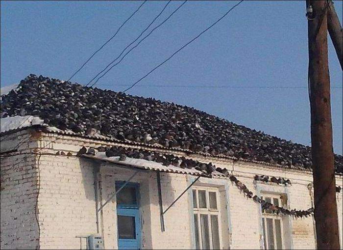 Ща у кого-то крыша улетит!!!