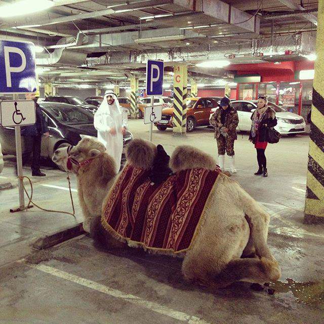 что то из него подтекает... пора СТО посетить