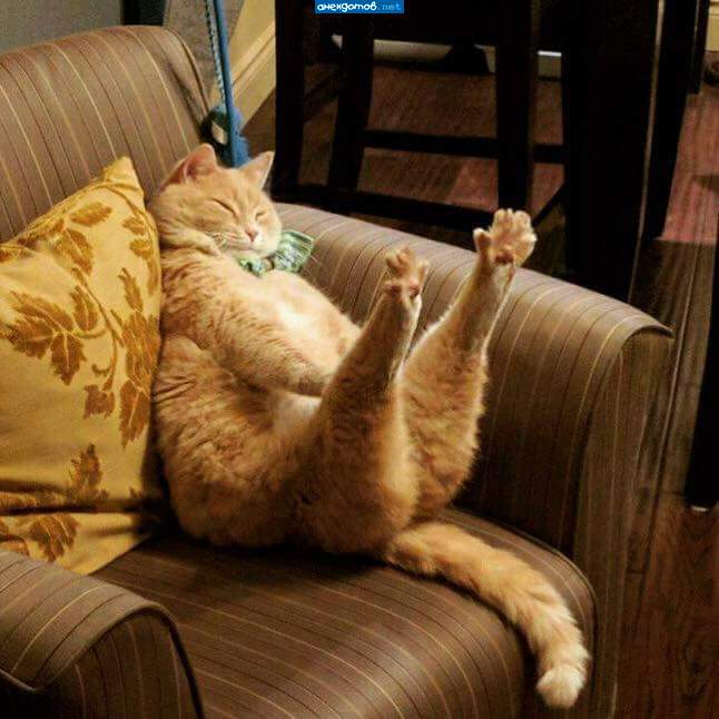 потягууушеньки