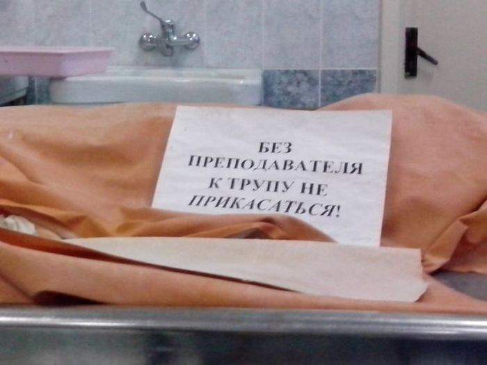 Блин, а так хочется!