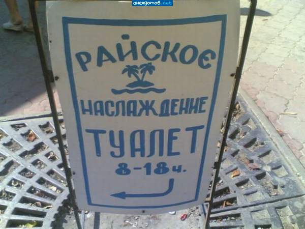 Зашел, а там и правда две пальмы и не огорожено.