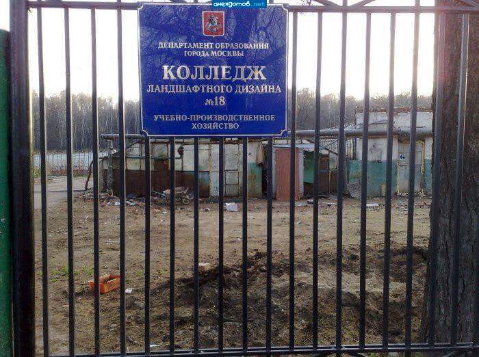 Точно. Вот здесь нашего мэра и учили.