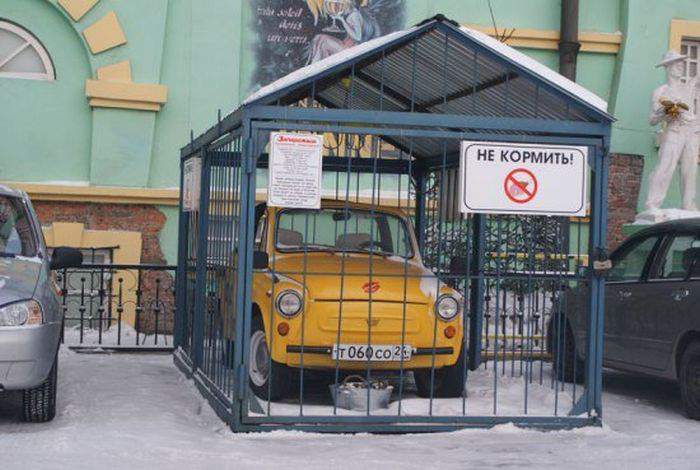 Осторожно! Кусается!