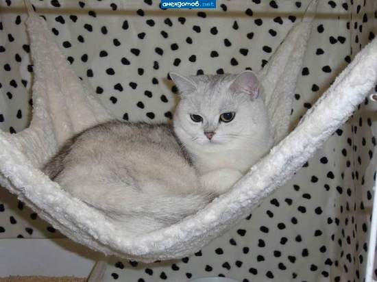 Шахирезада Петровна отдыхают :)