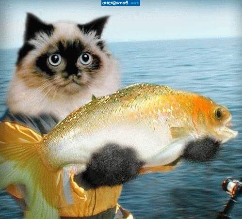 Значит так, судя по размерам, желаний будет побольше...