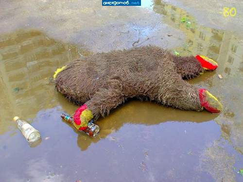 Йети погулял на банкете!