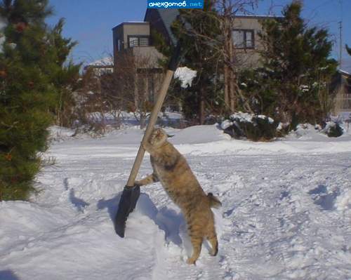 а все началось с тапочек