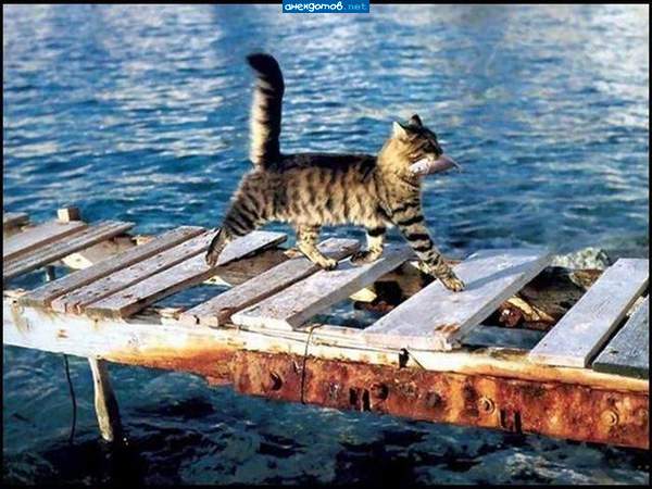 Домой как я с зарплатой ))