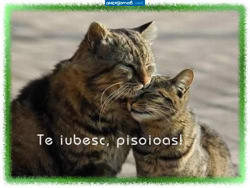 и жили они долго и счастливо...