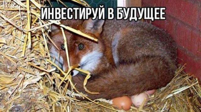 Нет, нельзя было крутить роман с Петухом...