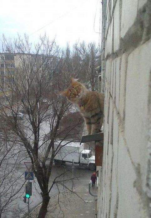 Не ходи к замужним бабам, висеть не придется...