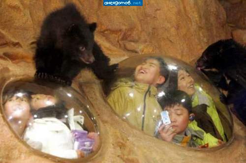 О! Хавчик в вакуумной упаковке!