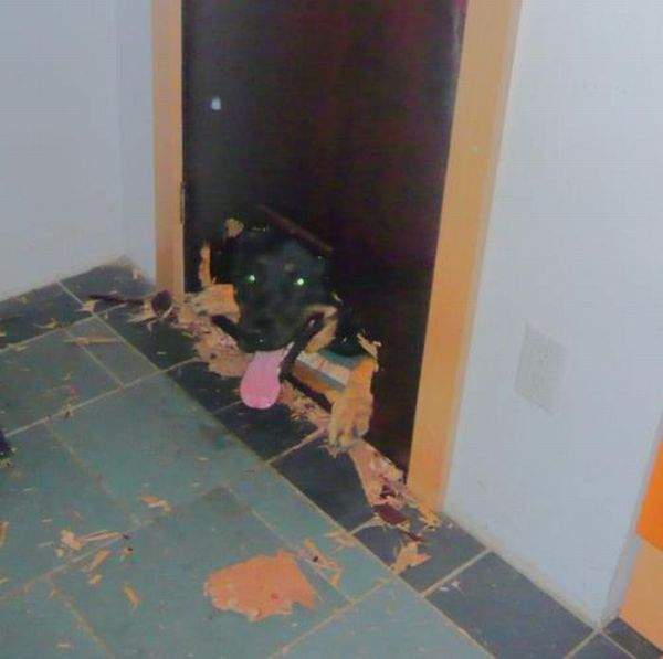 Ку-ку, йопта!