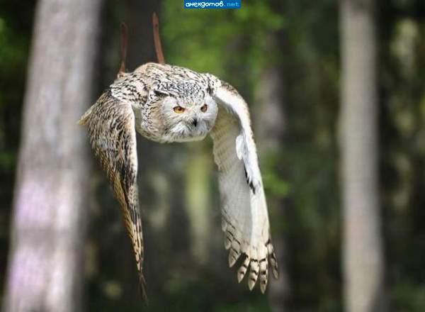 с вертикальным взлетом