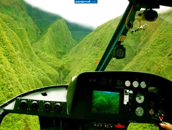 Зеленое море тайги