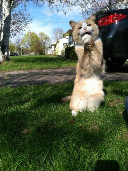 ну, пожа-а-алуйста