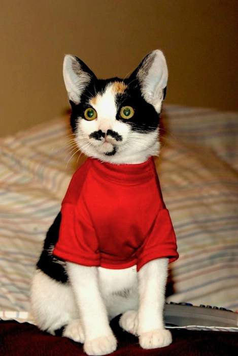 Это же Атос из трех мушкетеров...