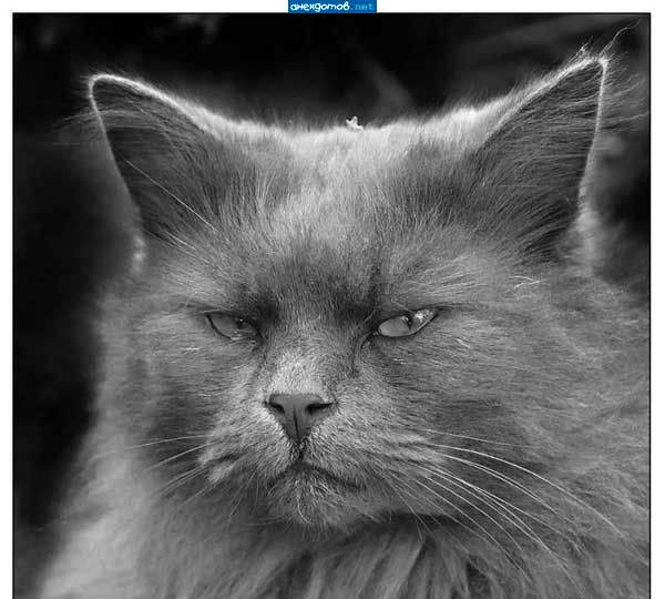 Мужик! Ну ты меня понял!