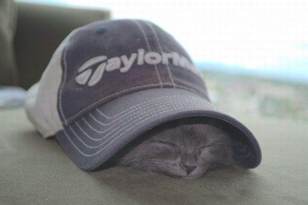 я улитко