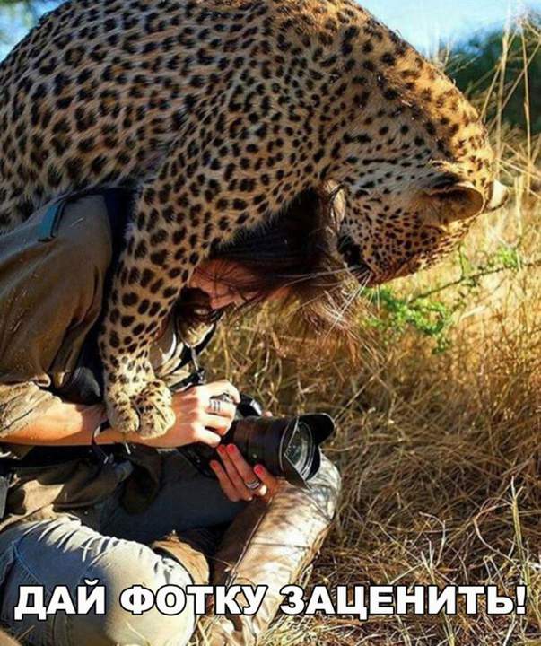 Ну покажи, что наснимала !