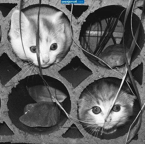 Переночуем - и дальше пойдем.