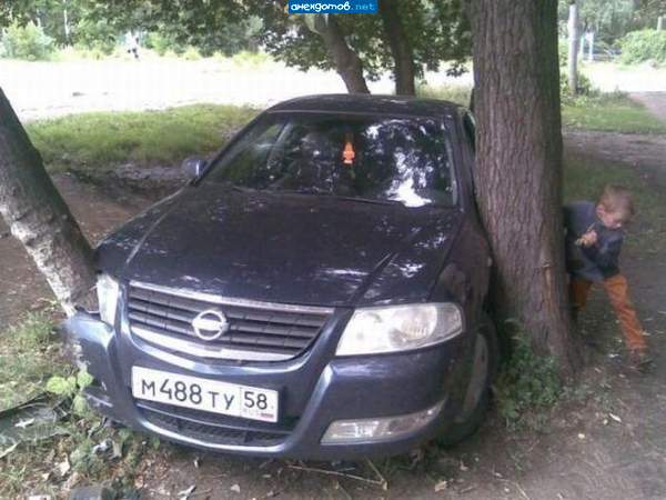 Нормальео...сосну на пол метра подвинем и гараж можно ставить...