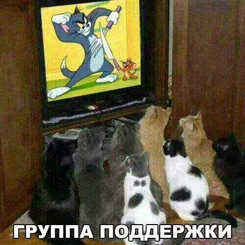 пока коты кино смотрели на кухне мышки погудели!!!