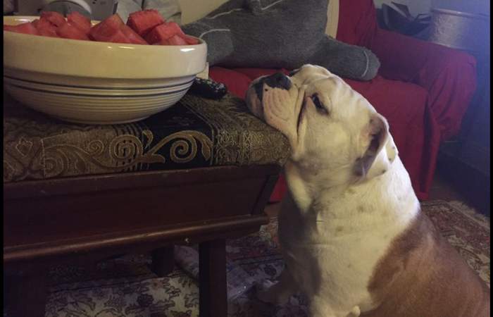 созерцание-лучший способ нагулять аппетит