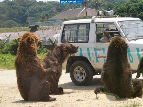 Выходить чего-то не хочется...