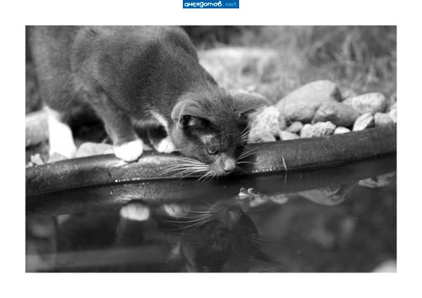 смотрю в себя как в зеркало