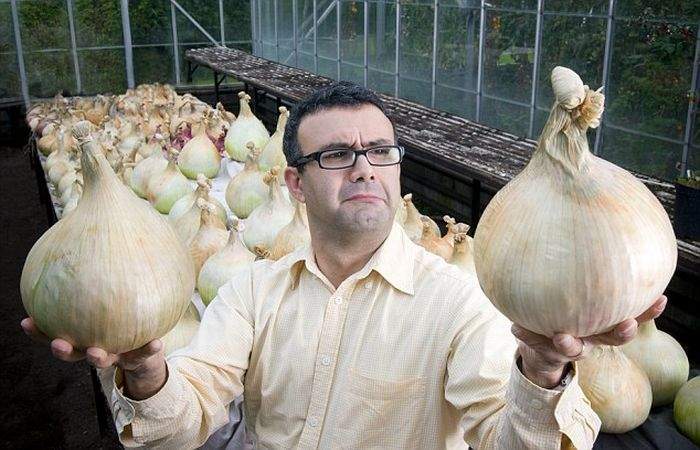 Твою мать,опять лук вместо арбузов вырос