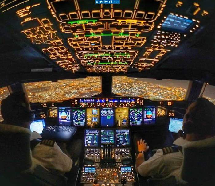 Все краски ночного полета...