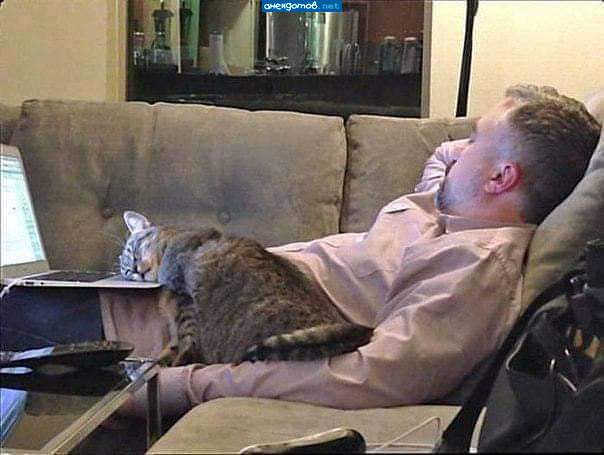 Уработались...