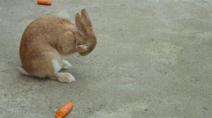 "Я не ем после шести... Я не ем после шести..."