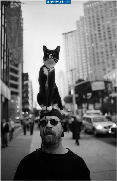 Так хозяин, вижу цель! Впе-ерр-мяу-у!!!