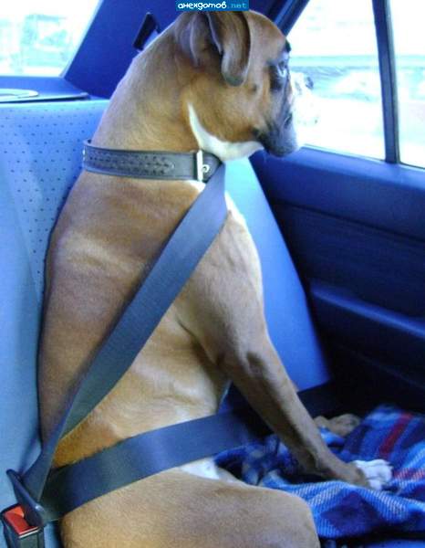 Как они все меня достали!