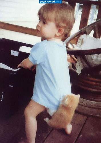 Хозяйка, я его держу...но из последних сил!