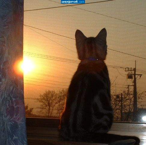 я знаю,моя мечта там,я её вижу...