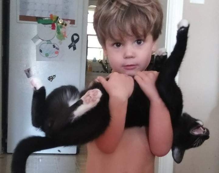 Когда не читал инструкции по эксплуатации кота.