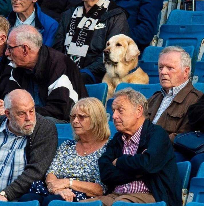 Умный взгляд