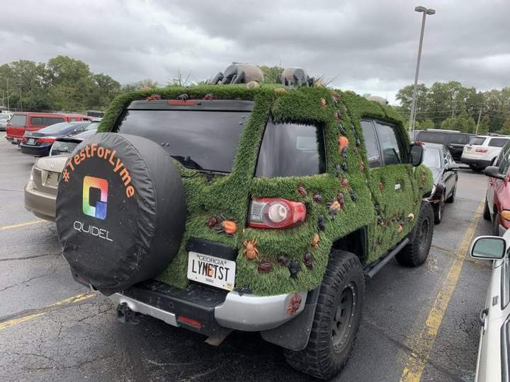 Анализ на боррелиоз