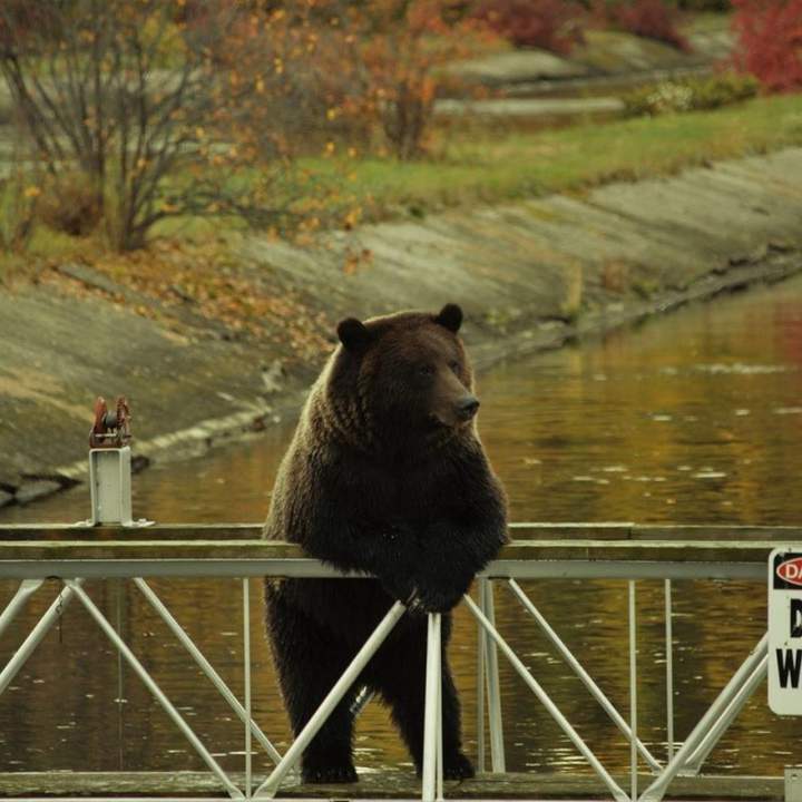 Долго ещё этих туристов ждать? Жрать хочется
