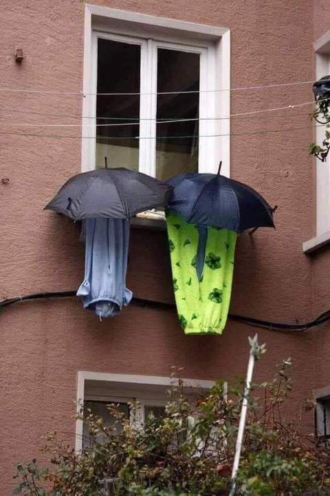 Явка провалена!!!