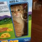 Игра называется мышеловка, а попался кот! pic