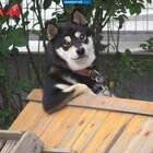 "Ну ты если че, заходи"