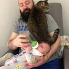 "Похоже, кота он любит больше((("